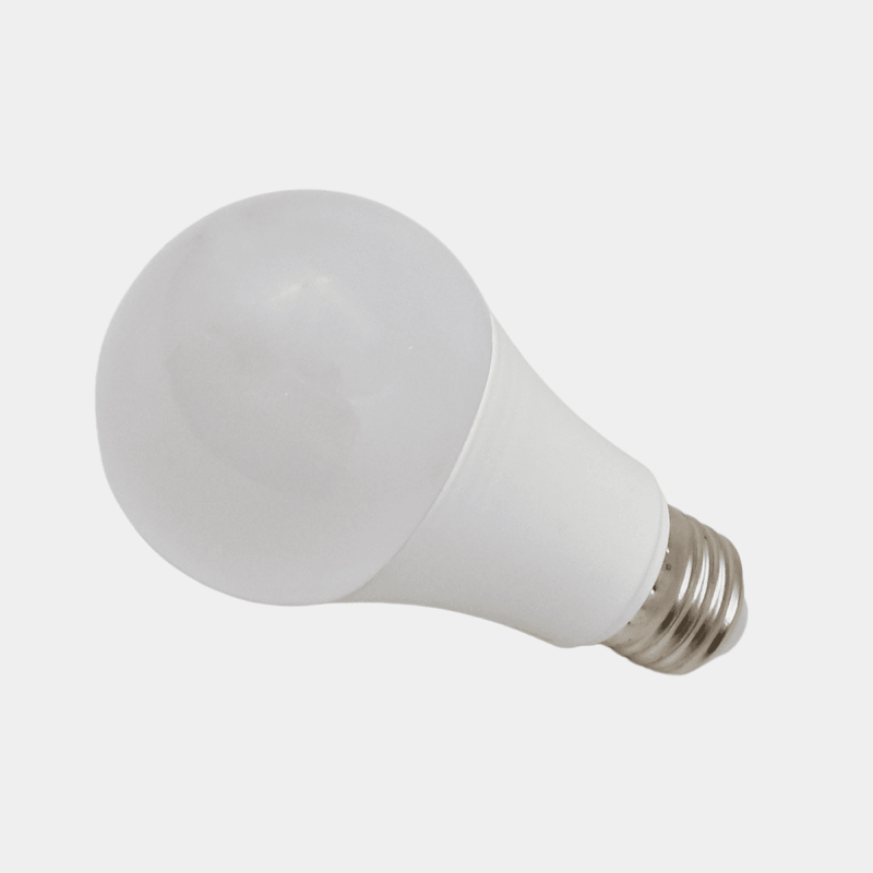 SET 10 KOM-LED SIJALICA 12 W